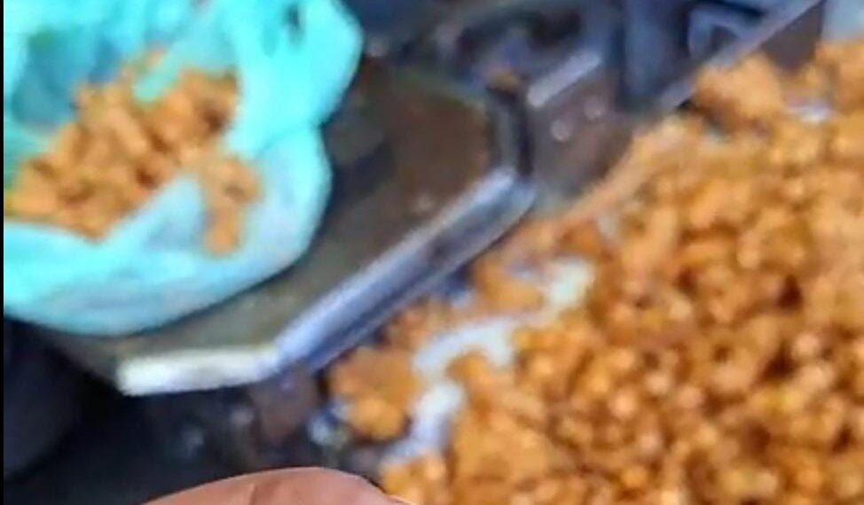 Devotees Outraged Over Sale of Stale Snacks at Makhdoom Sahab Urs, Demand Daily Checks