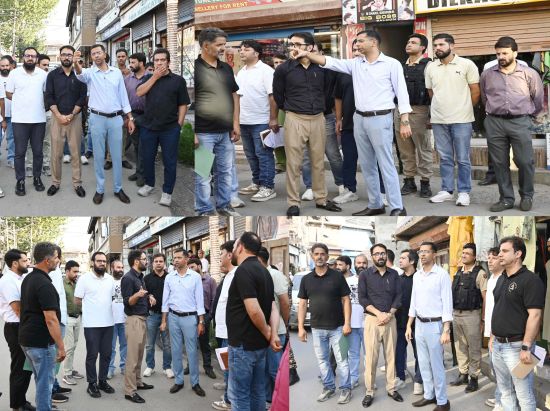 DC Shopian inspects vital roads of Town Shopian