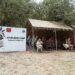 Chinar Corps Hosts Ayurveda Medical Camp, Extending Holistic Care to Keegam Villagers