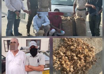 Awantipora Police Seize 150 Kg Saffron Seeds Bound for Outside J&K; Four Arrested