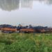 Blaze Damages Houseboat on Srinagar’s Jhelum River