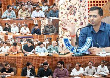 *DC Shopian finalises Independence day arrangements at Shopian*