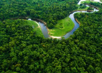 GREEN KASHMIR: SUSTAINABLE GROWTH