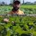 Budgam Farmer Cultivates Nadru on Waterlogged Land Without Govt Aid
