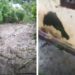 Cloudburst Hits Rajgarh Ramban, Three Dead Many Missing
