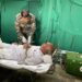 INDIAN ARMY CONTINUES FLOOD RELIEF OPERATIONS IN MADHYA PRADESH, RAJASTHAN, AND PUNJAB