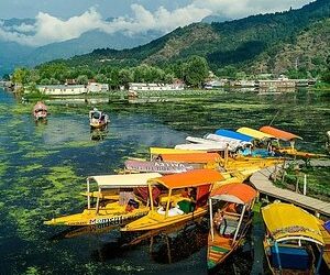 TOURISM REVIVAL BOOSTS LOCAL LIVELIHOODS