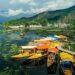 TOURISM REVIVAL BOOSTS LOCAL LIVELIHOODS