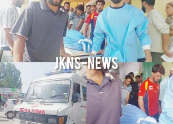 Elderly Man Mauled to Death in Bear Attack in Sopore