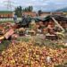 Kashmir’s Apple Crisis: A Climate Wake-Up Call for India’s Agro-Logistics