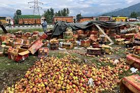 Kashmir’s Apple Crisis: A Climate Wake-Up Call for India’s Agro-Logistics
