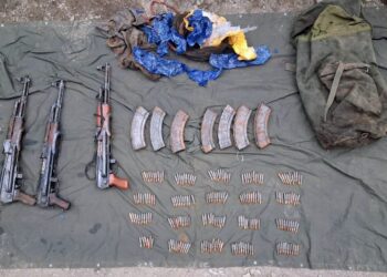 Relentless Probe Yields Arrest of 3 Terror Sympathisers, 7 AKs Seized in Poonch: IGP Jammu