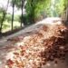 Wahabpura Villagers Demand Urgent Repair of Long-Neglected Road