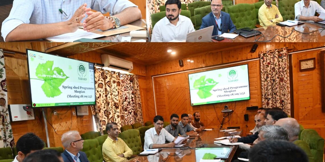 Spring Shed Climate Adaptability Project Approved under NABARD, First of its Kind in District Shopian