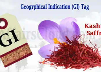 Kashmir’s Saffron: Red Gold Secured by GI Tag,