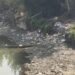 Jhelum River in Srinagar Chokes Under Mounting Pollution