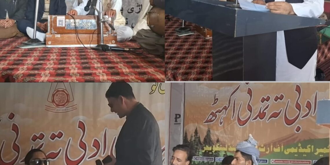 Pahari Literature and Culture Shine in Karnah: Local Talent Steals the Spotlight