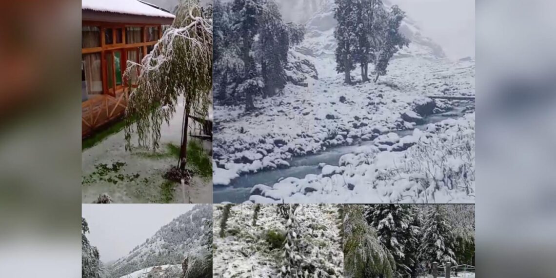 Winter Arrives Early in J&K: Zojila Hits -8°C, Snow Disrupts Higher Reaches, Rains hit Plains