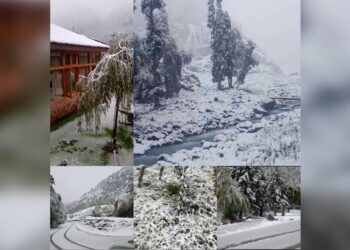 Winter Arrives Early in J&K: Zojila Hits -8°C, Snow Disrupts Higher Reaches, Rains hit Plains