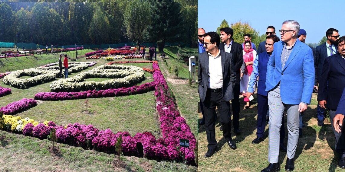 CM Omar Abdullah Opens Kashmir’s First Chrysanthemum Garden, Calls It a New Autumn Tourism Landmark