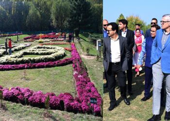 CM Omar Abdullah Opens Kashmir’s First Chrysanthemum Garden, Calls It a New Autumn Tourism Landmark