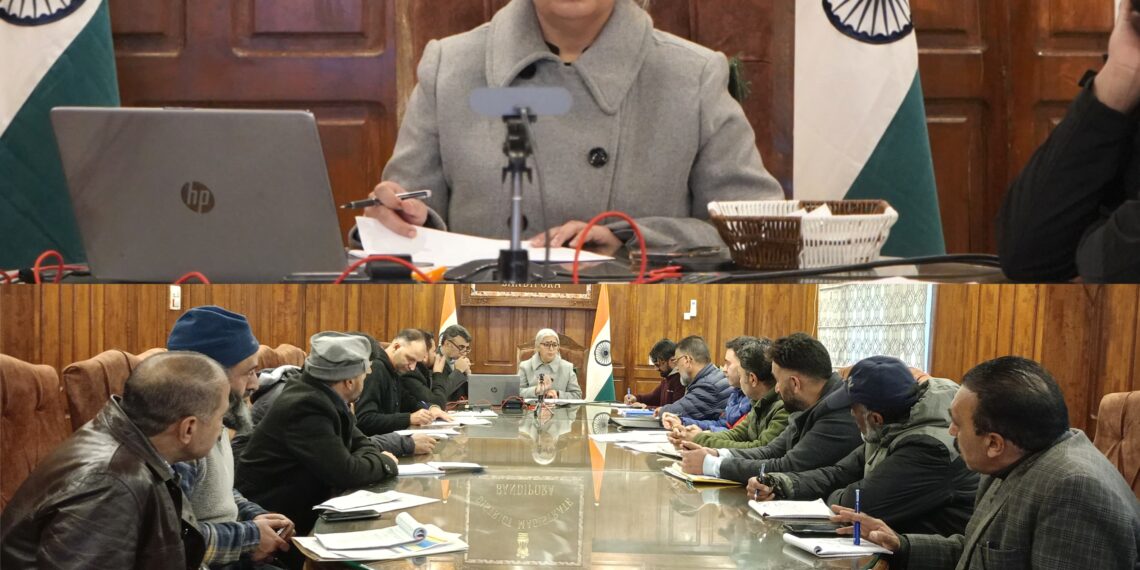 DC Bandipora Calls for Strict Action Plan on Stray Dog Control