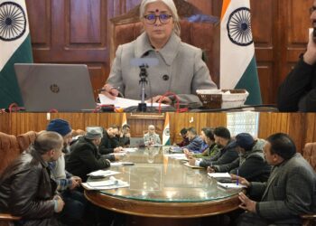 DC Bandipora Calls for Strict Action Plan on Stray Dog Control