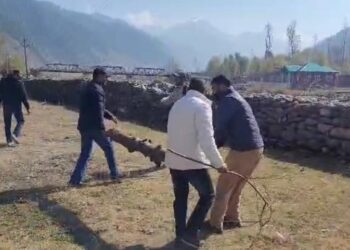 Verinag Development Authority Launches Encroachment Removal Drive in Verinag Areas