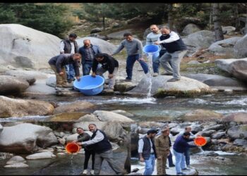Kupwara Fisheries Department Releases Brown Trout Fingerlings to Boost Eco-Tourism and Biodiversity