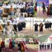 Heritage Week Celebrations: Cultural Extravaganza at Manasbal Park, Ganderbal