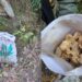 Operation Hajitra: Security Forces Thwart Narcotics Smuggling Attempt in Tangdhar; Suspected Contraband Recovered