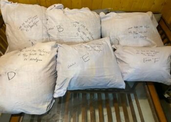 Pahalgam Police Recover 24.5 Kg Bhang After Suspect Escapes Into Forest