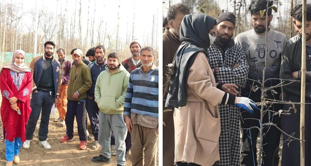 Qul Fruits Extends Massive Outreach, Conducts 152 Pruning Workshops Across J&K