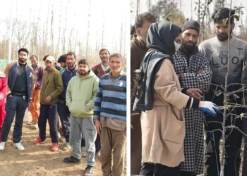 Qul Fruits Extends Massive Outreach, Conducts 152 Pruning Workshops Across J&K