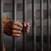 Srinagar Court Jails Father for Letting Minor Drive
