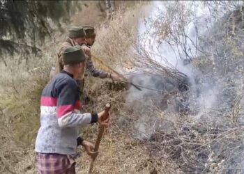 Forest Division Karnah Sounds Alarm as Dry Spell Triggers Rising Fire Risk