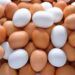 Eggs Safe for Consumption; Cancer Risk Claims Misleading, Says FSSAI