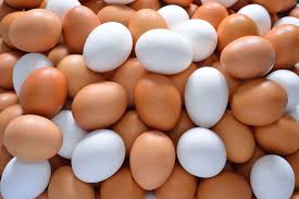 Eggs Safe for Consumption; Cancer Risk Claims Misleading, Says FSSAI