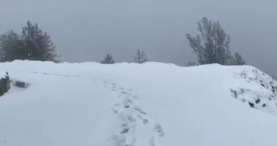 Heavy Snowfall Closes Sadhna Top, Authorities Set Up Control Rooms