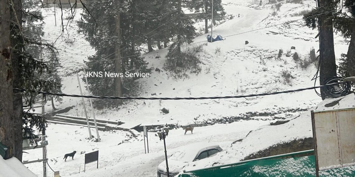 Chilla-e-Kalan Sets In Across Kashmir as Rain, Snow Break Prolonged Dry Spell