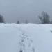 Heavy Snowfall Closes Sadhna Top, Authorities Set Up Control Rooms