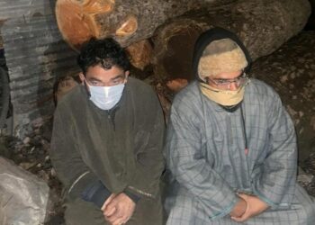 Timber Smuggling Racket bursted, Two Arrested with Illegally Cut Forest Logs