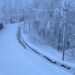 Long Dry Spell Ends as Heavy Rains, Snowfall, Gusty Winds Lash Parts of J&K