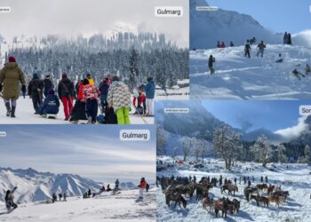 Winter Magic Brings Back the Buzz as Kashmir Tourism Sees Strong Revival