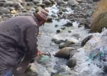 Save Environment, Save River Drive Held at Beerwah