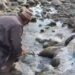 Save Environment, Save River Drive Held at Beerwah