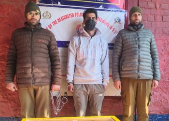 Anti-Drug Drive in Pulwama Yields Results; Poppy Straw Recovered at Newa, One Held