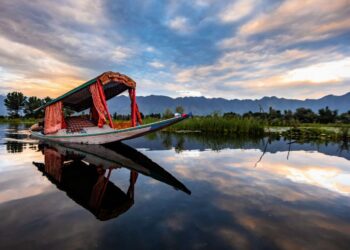 Modern Kashmir Speaks: Tradition, Innovation and Resilience in Harmony