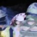 Indian Army Conducts Swift CASEVAC, Saves Life Of 15-Year-Old Boy In Machil