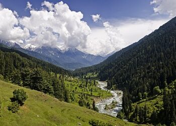 From Political Theatre to Proxy Narrative: The Manufactured Myth of Kashmir Solidarity Day